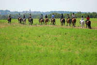 BIENVENUE AU DOMAINE EQUESTRE DE LAUZERTE